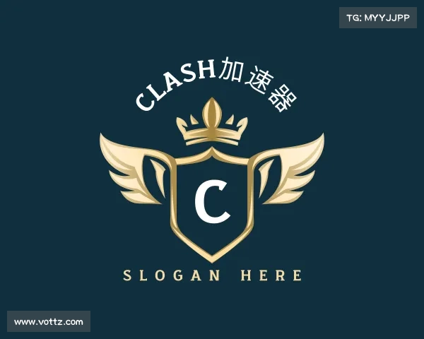 解读clash加速器